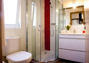 a bathroom with a shower and a toilet and a sink at Quinta Dos Amarelos no Meco in Aldeia do Meco
