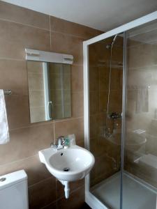 a bathroom with a sink and a shower at Warwick Lodge in Kingston upon Thames