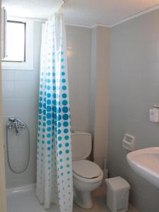 a bathroom with a toilet and a shower curtain at Pella in Istron in Istro