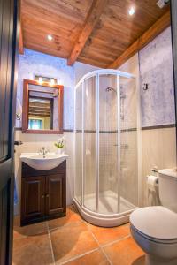 a bathroom with a shower and a toilet and a sink at Casa Valle del Genal in Igualeja