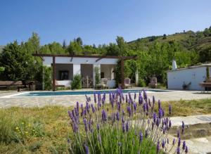 a garden with purple flowers in front of a house at Cortijo Solera in Soportújar