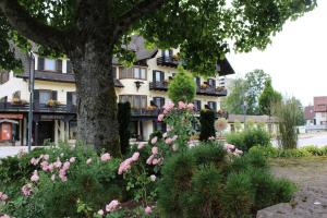 a tree with pink flowers in front of a building at Garni Hotel Adler Post in Baiersbronn