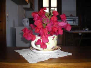 Fotografie z fotogalerie ubytování Patmos Garden Sea v destinaci Grikos