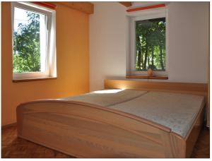 a bedroom with a large bed with two windows at Muzyczna Zagroda in Pietzonken