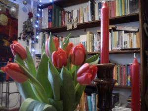 Knihovna v bed and breakfast
