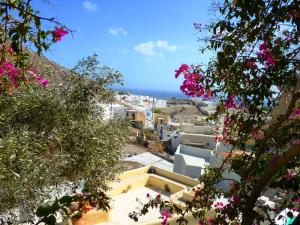 a view of a city with pink flowers at Barbarossa Suites in Emporio Santorini
