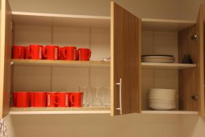Kuchyňa alebo kuchynka v ubytovaní Hostel City Center Gdynia