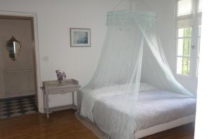 a bedroom with a bed with a mosquito net at Villa Toulousaine in Grisolles +75 photos