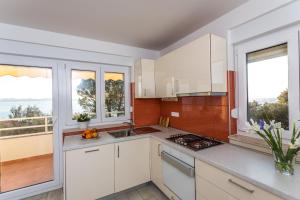 Kuchyň nebo kuchyňský kout v ubytování Villa Antonina