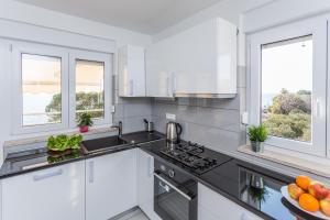 Kuchyň nebo kuchyňský kout v ubytování Villa Antonina