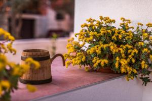 Zahrada ubytování Villa Antonina