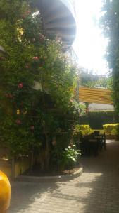 Zahrada ubytování Hotel ILLI