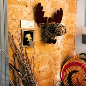 Fotografie z fotogalerie ubytování TasEV Guesthouse v destinaci Lefkosa Turk