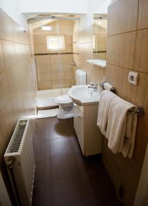 ein Bad mit einem WC, einem Waschbecken und einer Dusche in der Unterkunft Residence Piata Sfatului in Braşov