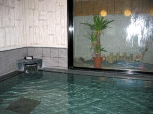 a pool of water with a potted plant in a room at Hotel Route-Inn Ogaki Inter in Ogaki