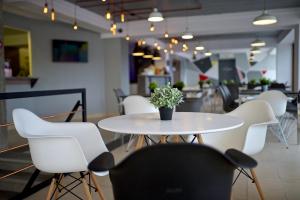 a table and chairs with a potted plant on it at Hotel Oxigen Petrosani in Petroşani