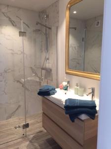La salle de bains est pourvue d'une douche, d'un lavabo et d'un miroir. dans l'établissement Wellington F7, à La Panne