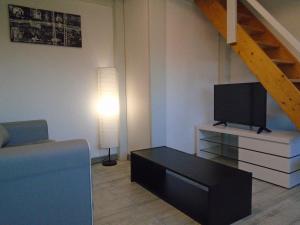 een woonkamer met een bank en een flatscreen-tv bij Appartement BellesRives in Vesoul