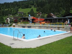 een groep mensen die zwemmen in een zwembad bij Hotel Berghof in Berg im Drautal