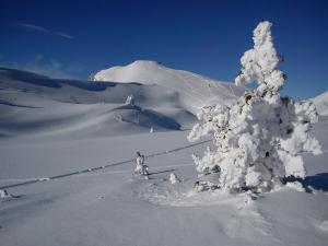 Appartements Macheiner during the winter