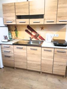 Kuchyňa alebo kuchynka v ubytovaní Apartmány Malý Princ