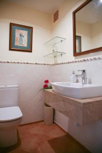 a bathroom with a sink and a toilet and a mirror at Casa Familiar y Acogedora in Sa Pobla +13 photos