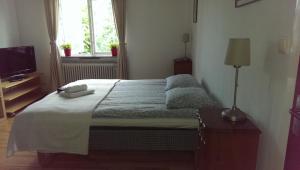 sypialnia z łóżkiem z lampką i telewizorem w obiekcie Villa Carlotta Apartments w mieście Lund