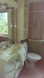 a bathroom with a sink and a toilet and a mirror at Villa Carlotta Apartments in Lund