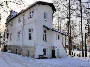 ザコパネにあるTatryTop Studio Krupówkiの雪の白家