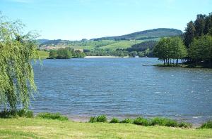 a large body of water with trees and grass at Le Clos Fleuri in Bourg-de-Thizy