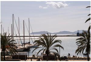 un gruppo di barche parcheggiate in un porto turistico con palme di Blanco Rooms a Cagliari