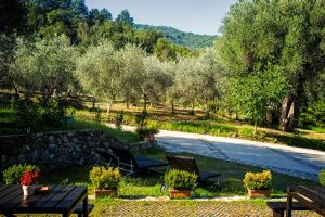 a patio with two chairs and a table and trees at Agriturismo Murikè in Santa Marina