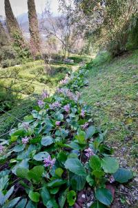 Gallery image of Palazzo Forani in Casperia +66 photos