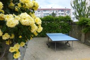 Instalaciones para jugar al ping pong en Tikhaya Gavan o alrededores