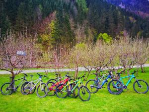 una fila de bicicletas estacionadas en un campo en Country house - Turistična kmetija Ambrož Gregorc, en Solčava