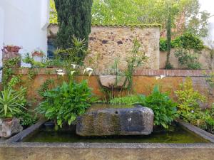 A garden outside Hotel Sant March
