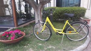 a yellow bike parked next to a tree with flowers at L'incanto Di Boccadarno in Marina di Pisa