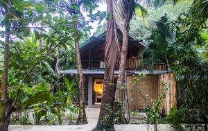 una casa en la selva con palmeras en Santascabinas, en Santa Teresa Beach