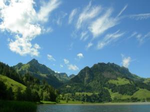 um lago nas montanhas sob um céu nublado em Alte Bäckerei em Schwarzsee