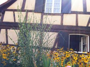 a house with yellow flowers in front of it at Chambres d'Hôtes La Stoob Strasbourg Sud in Illkirch-Graffenstaden