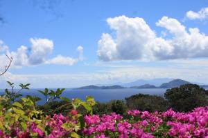 a view of the ocean from a field of flowers at Gites Kas'a Flo in Trois-Rivières