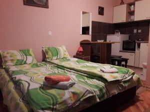 Kuchyň nebo kuchyňský kout v ubytování Guest House Dunavski Raj