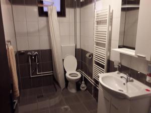 Koupelna v ubytování Guest House Dunavski Raj