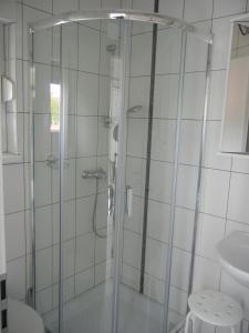 a bathroom with a shower stall and a toilet at Rooms & Apartment Mira G. in Postojna