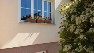 una finestra con vasi di fiori sul lato di un edificio di Apartments Place4you a Bjelovar