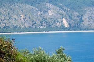 Táj Show holiday homes közelében