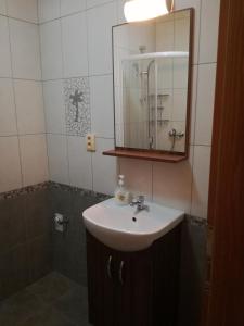 W łazience znajduje się umywalka, lustro i prysznic. w obiekcie Ubytovani na hradbach w mieście Broumov