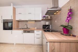 Kuchyň nebo kuchyňský kout v ubytování Apartment Kristina