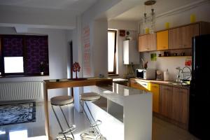 Een keuken of kitchenette bij Luxury Apartament Fundeni