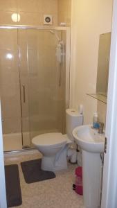 een badkamer met een toilet, een wastafel en een douche bij Pia House in Dublin
